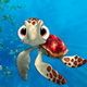 Finding Nemo Squirt Puzzle Game