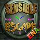 Sensible Escape Game