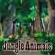 jungle animals