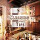 5 Cleaning Tips Game