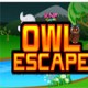 Forest Owl Escape