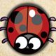 Nervous Ladybug 2