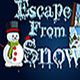 Escape from snow Game