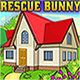 Rescue the Bunny Game