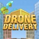 Drone Delivery Game