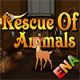 Escape Games Rescue Of Animals Game