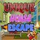 Unique house escape Game