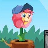 Flower Rush - Free  game