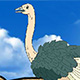 Super Ostrich Simulator - Free  game