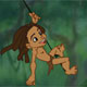 Tarzan Swing