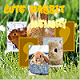 Cute Rabbit memory Game