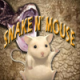 Snake n' Mouse Game