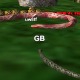Snakes3D Game
